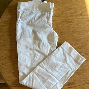Express Dress Pants